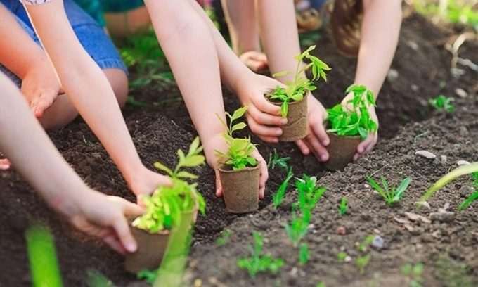 Joint efforts made to plant 1 billion trees by 2025 - 1 Joint efforts made to plant 1 billion trees by 2025 - 1