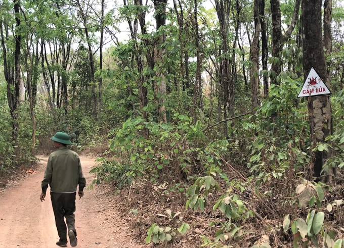 Central Highlands face wildfire risks - 1 Central Highlands face wildfire risks - 1