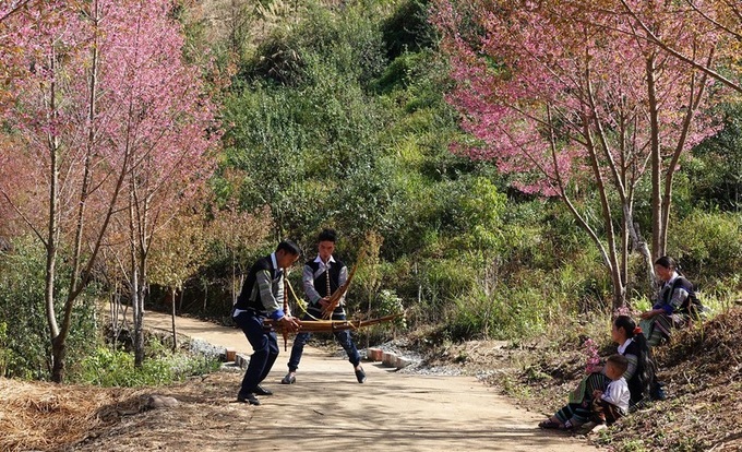 'To day' flower season in Mu Cang Chai - 1 'To day' flower season in Mu Cang Chai - 1