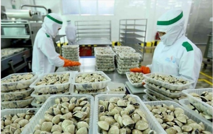 EU represents largest export market for Vietnamese clams - 1
