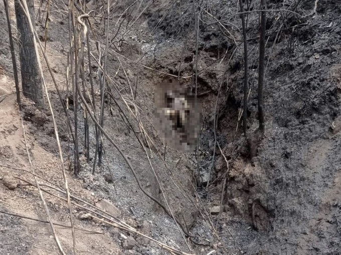 Man and two sons die hunting rats - 1