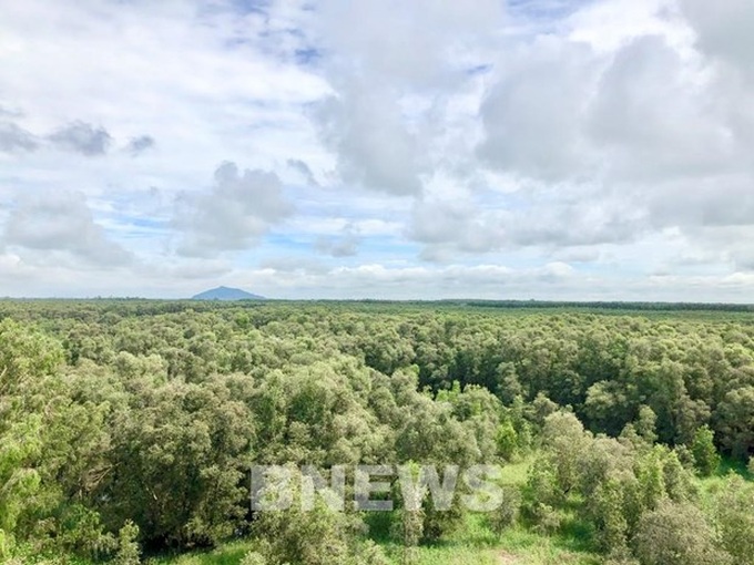 Forest environmental services to bring about 2.8 trillion VND in 2021 - 1 Forest environmental services to bring about 2.8 trillion VND in 2021 - 1
