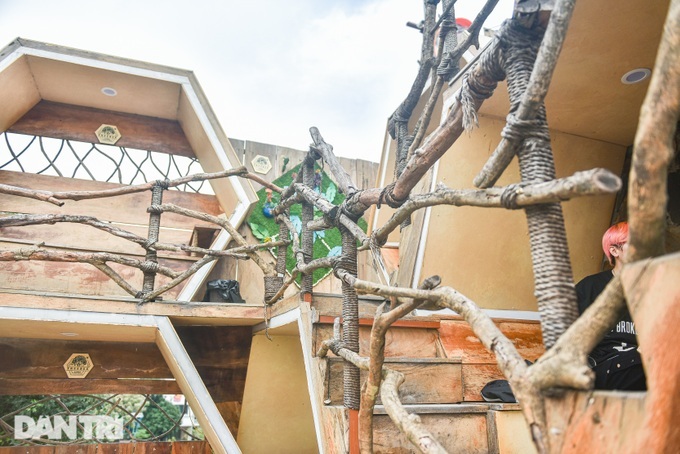 Bee hive-designed coffee shop in Hanoi attracts customers - 5