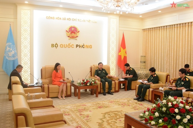 Vietnam participates more deeply in UN peacekeeping operations - 1