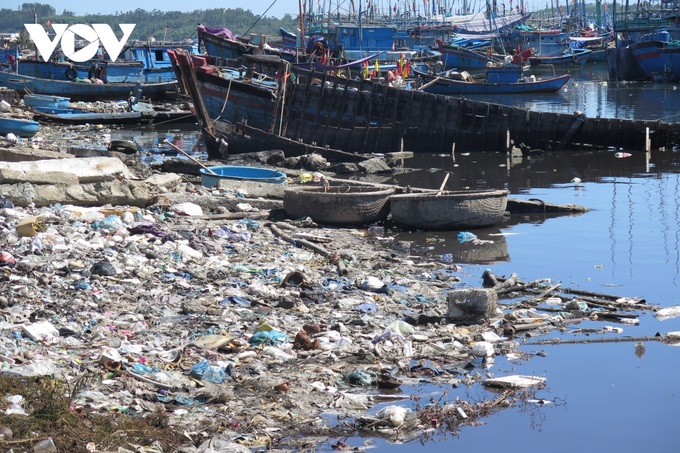 Quang Ngai fishing port faces severe pollution - 1 Quang Ngai fishing port faces severe pollution - 1