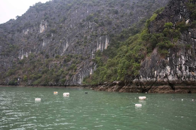 Further steps to tackle pollution in Ha Long Bay - 1 Further steps to tackle pollution in Ha Long Bay - 1