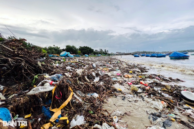 Quang Ngai beach blanketed by rubbish - 4 Quang Ngai beach blanketed by rubbish - 4