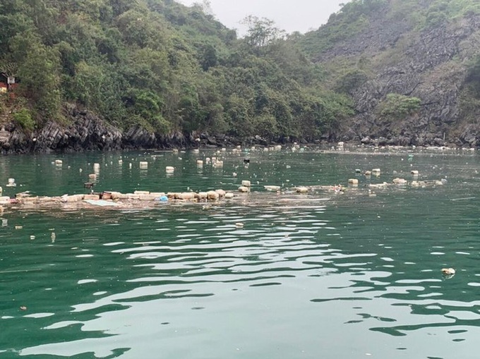 Lan Ha Bay faces pollution - 1