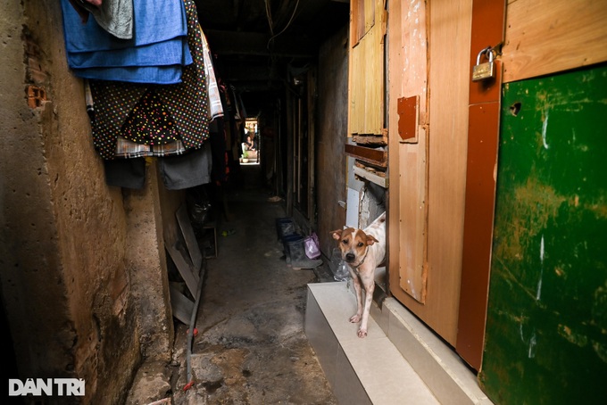 Life in ramshackle houses along HCM City canal - 9