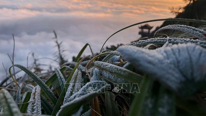 Cold spells predicted for late January - 1 Cold spells predicted for late January - 1