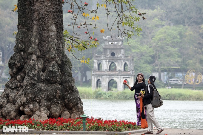 Red silk cotton flower season in Hanoi - 10