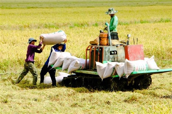 Low-carbon rice production helps Vietnam meet emission target - 1 Low-carbon rice production helps Vietnam meet emission target - 1