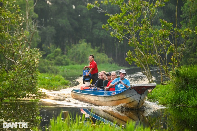 Exploring the beauty of An Giang cajeput forest - 6