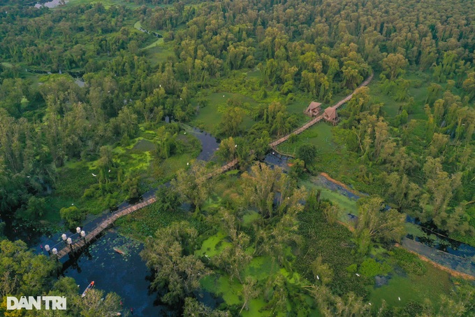 Exploring the beauty of An Giang cajeput forest - 7