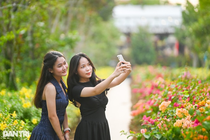 Exploring the beauty of An Giang cajeput forest - 5