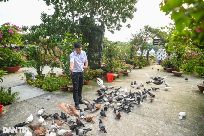 Exploring the beauty of An Giang cajeput forest - 4