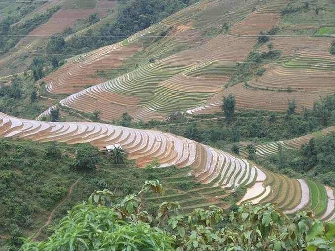 Stunning terraced fields in Sapa - 4