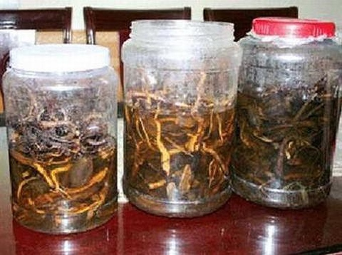 Three die after drinking seed-infused rice wine in Khanh Hoa - 1 Three die after drinking seed-infused rice wine in Khanh Hoa - 1