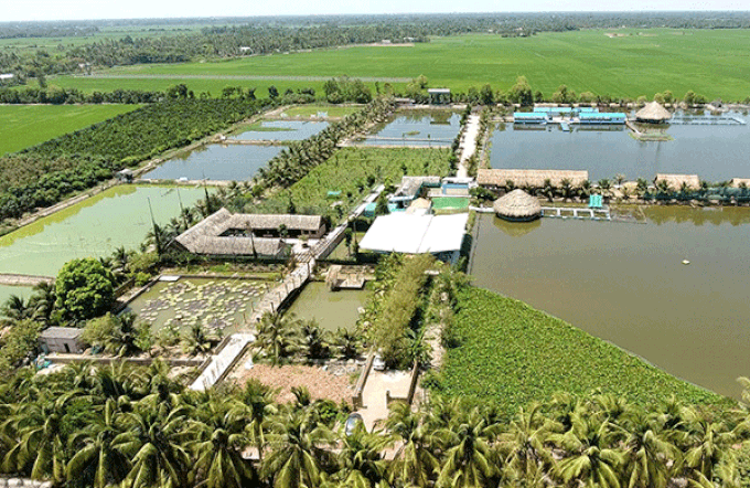 New eco tourism site opens in Mekong Delta - 1