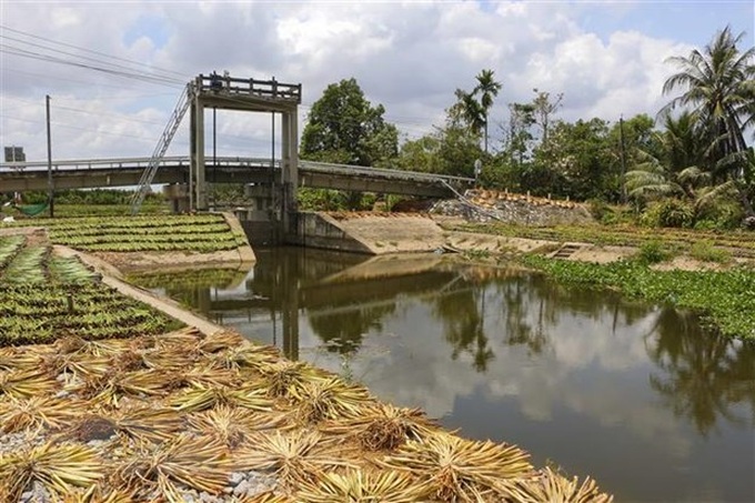 Saltwater intrusion in Mekong Delta to be problematic until late April - 1 Saltwater intrusion in Mekong Delta to be problematic until late April - 1