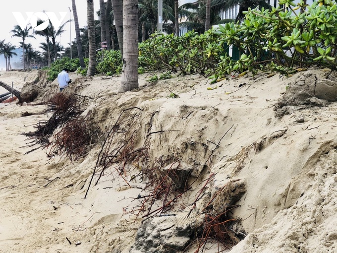 Danang beaches continue to face erosion - 1