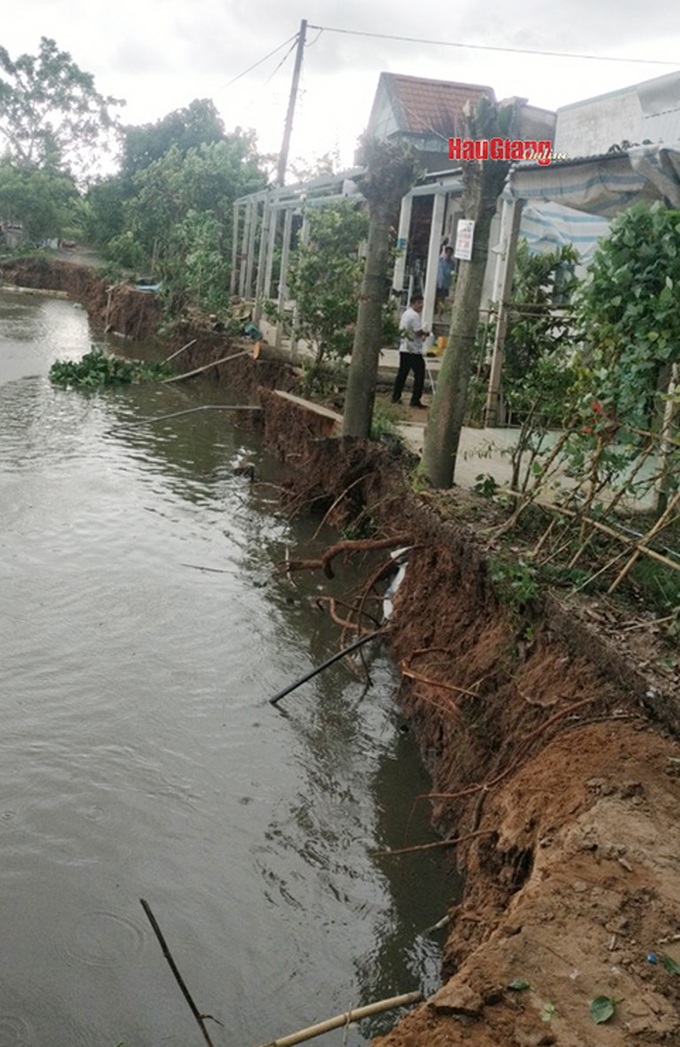 Hau Giang faces continuous erosion incidents - 1