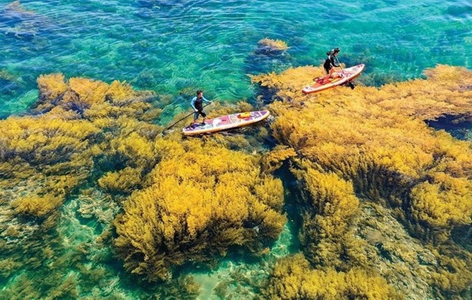 Sea and island tourism a ‘gold mine’ that needs to be tapped fully - 1
