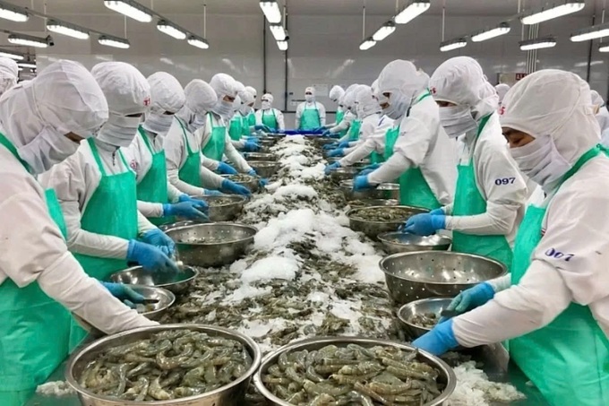 VASEP rejects labour abuse allegations in shrimp industry - 1