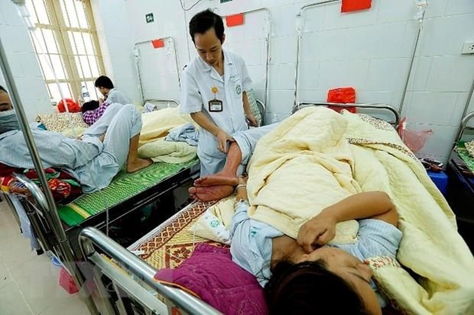 Hanoi takes preventive measures against dengue fever - 1