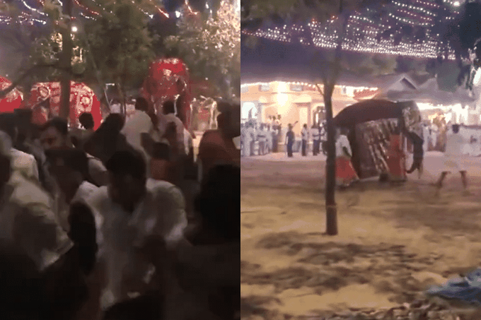 Sri Lanka pilgrims flee as elephant runs amok - 1