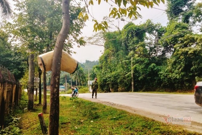Bee colony collecting season in Ha Tinh - 4