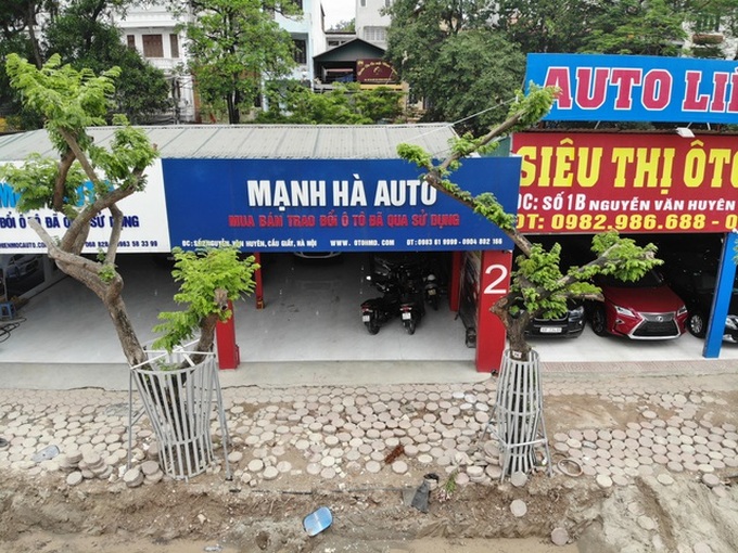 Security tightened over valuable dalbergia tonkinensis trees - 4