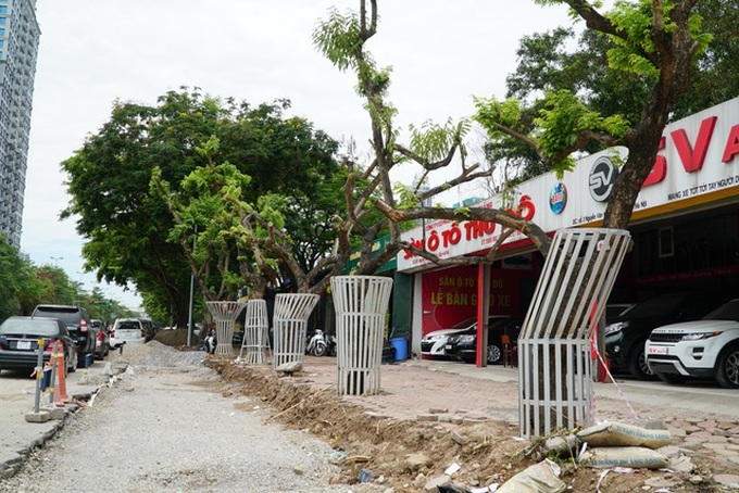 Security tightened over valuable dalbergia tonkinensis trees - 5