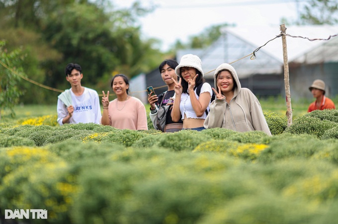 Dong Thap Flower village ahead of Tet - 10