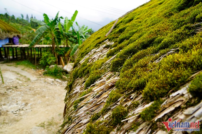 Moss-covered houses on Tay Con Linh Mountain - 5