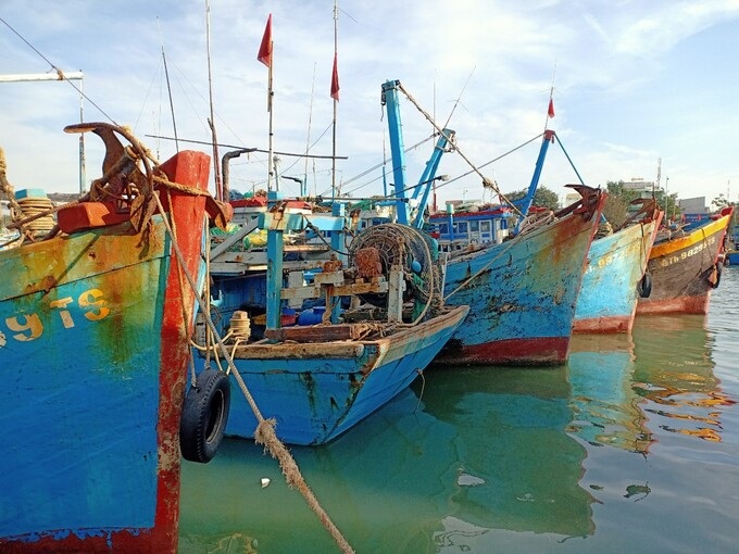 Hundreds of fishing boats left idle due to fuel shortages - 1