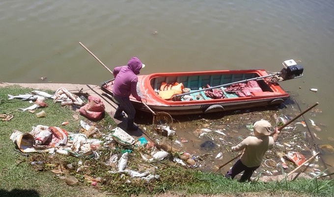 Da Lat’s iconic lake sees massive fish deaths - 2