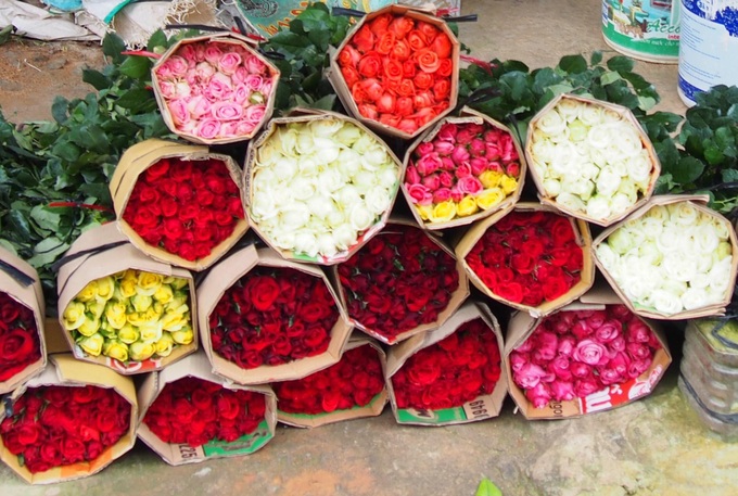 Da Lat rose prices sharply rise ahead of Valentine's Day - 4
