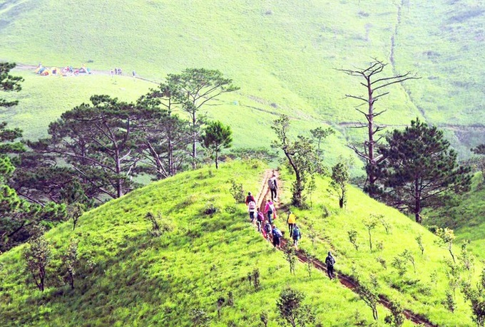 Vietnam’s most beautiful trekking route suspended for Covid-19 prevention - 1