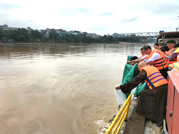 13,000 fish released into Hanoi river - 2 13,000 fish released into Hanoi river - 2