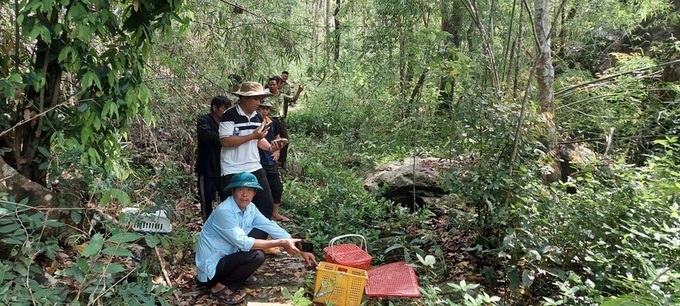 Many wild animals released in Ninh Thuan - 1 Many wild animals released in Ninh Thuan - 1