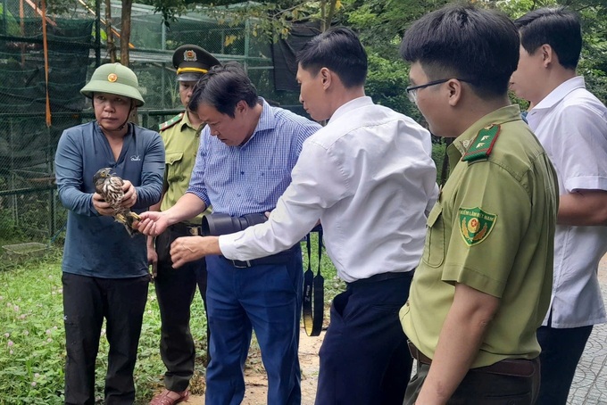 Fifteen wild animals released back into nature in Quang Binh - 1