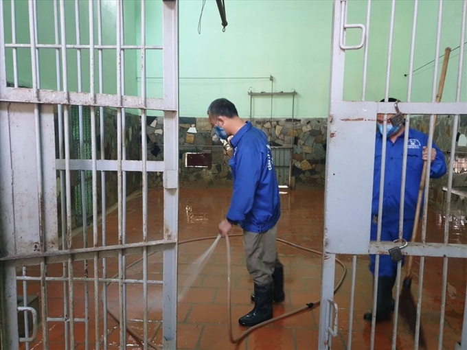 Zoo workers prepare for Tet - 1