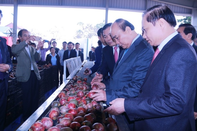PM visits workers in Ninh Binh - 2