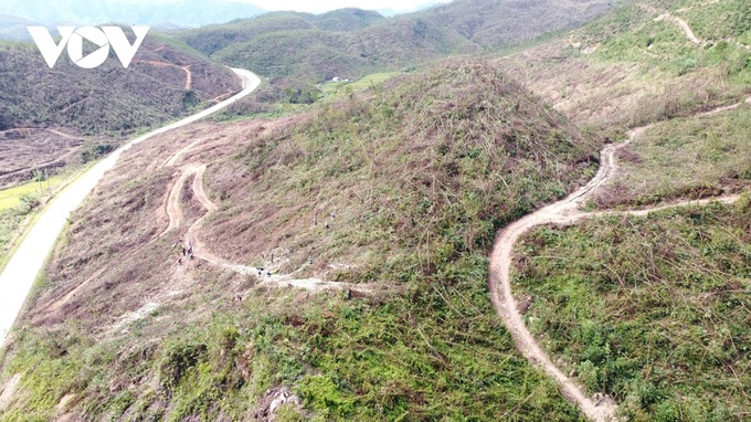 Quang Ninh forests devastated by Typhoon Yagi - 1