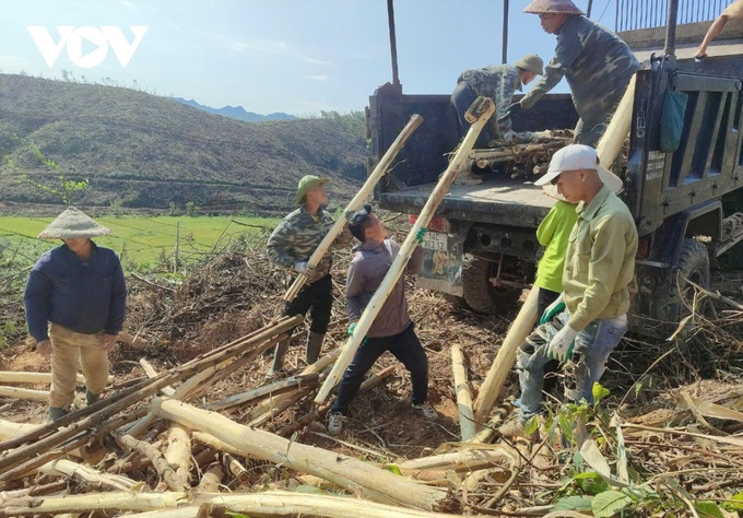 Quang Ninh forests devastated by Typhoon Yagi - 5