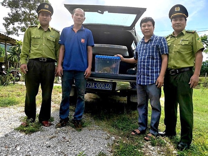 Quang Binh park receives wild animals from residents - 1 Quang Binh park receives wild animals from residents - 1