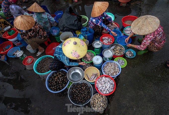 A special Mekong Delta market - 2 A special Mekong Delta market - 2