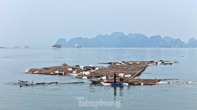 Litter engulfs Ha Long Bay after typhoon - 3