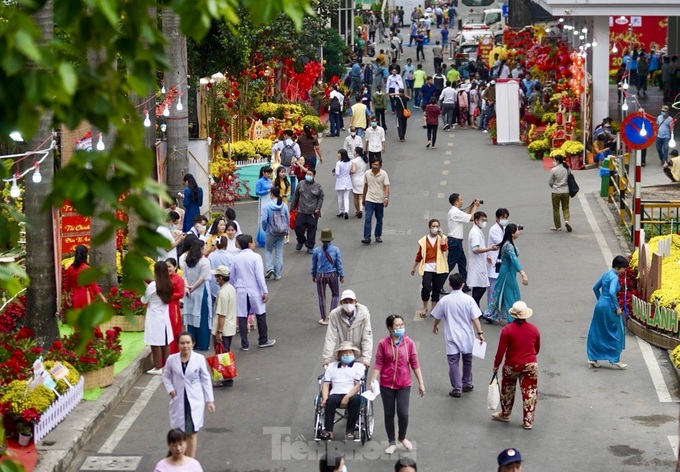 Tet flower road launched at HCM City hospital - 3